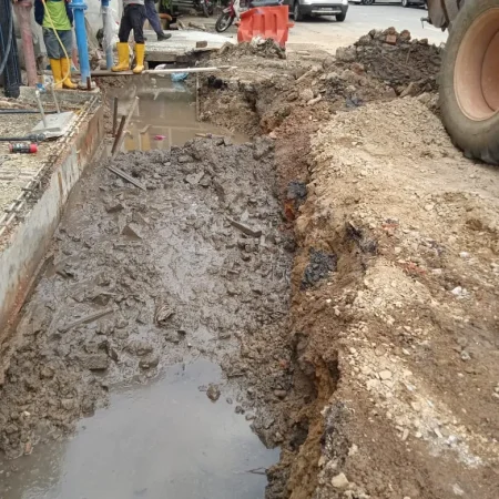 The Bagan Suite, Butterworth (2)